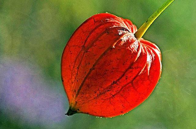 沒有經歷過他人的苦，就別勸別人要笑看人生路