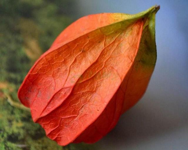 沒有經歷過他人的苦，就別勸別人要笑看人生路