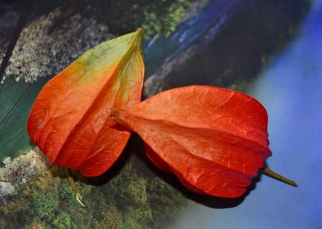 沒有經歷過他人的苦，就別勸別人要笑看人生路