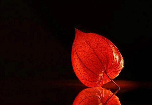 沒有經歷過他人的苦，就別勸別人要笑看人生路