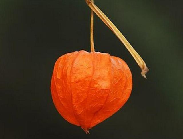 沒有經歷過他人的苦，就別勸別人要笑看人生路