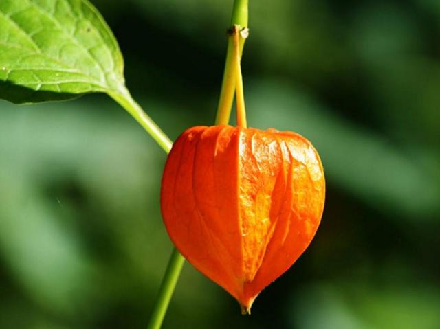 沒有經歷過他人的苦，就別勸別人要笑看人生路