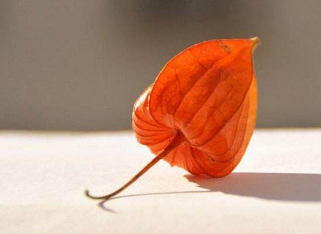 沒有經歷過他人的苦，就別勸別人要笑看人生路