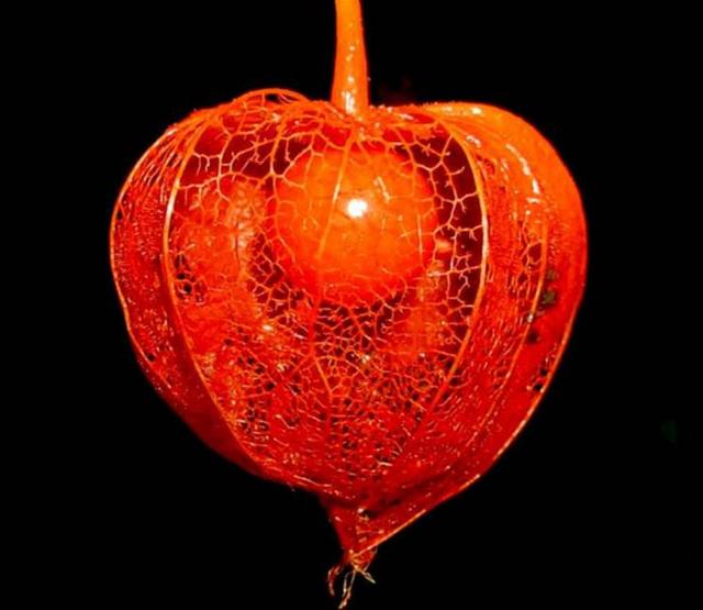 沒有經歷過他人的苦，就別勸別人要笑看人生路