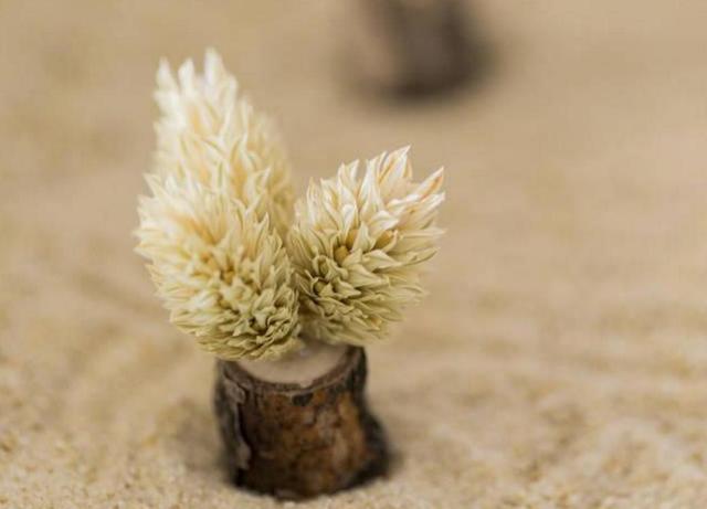 要想活得有人樣，這五種飯局，你就別去啦