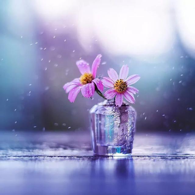 做人要心正，待人要心誠