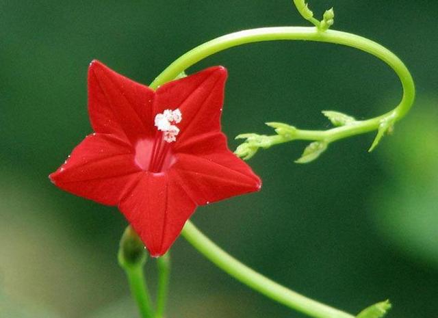 做人要懂得：不善待自己，必然會落得如此下場