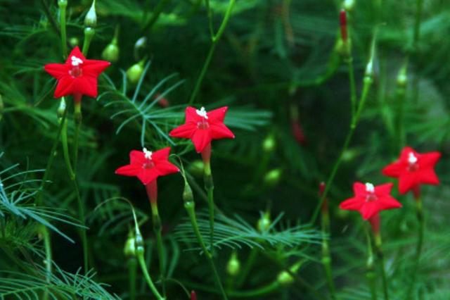 做人要懂得：不善待自己，必然會落得如此下場