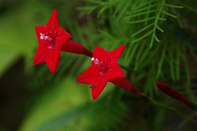 做人要懂得：不善待自己，必然會落得如此下場
