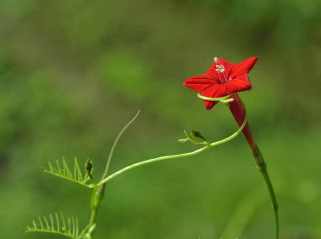 做人要懂得：不善待自己，必然會落得如此下場