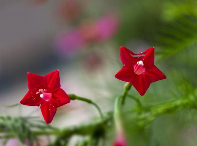 做人要懂得：不善待自己，必然會落得如此下場
