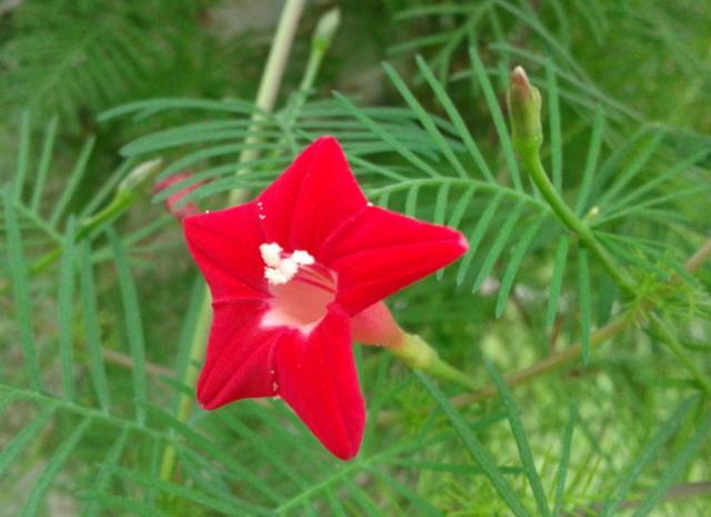 做人要懂得：不善待自己，必然會落得如此下場