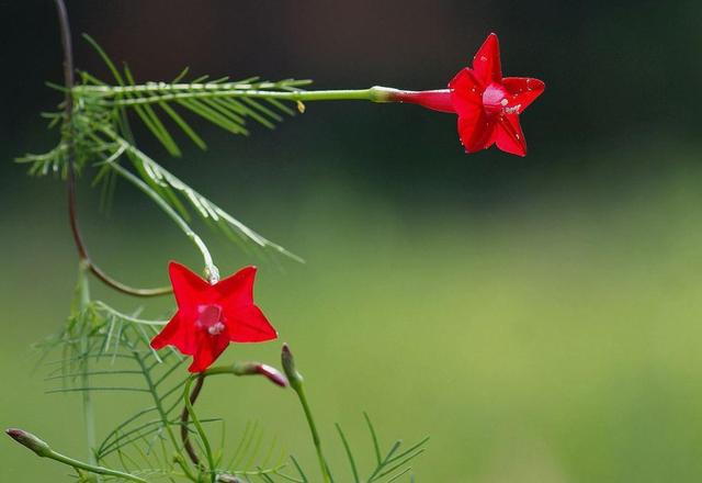 做人要懂得：不善待自己，必然會落得如此下場