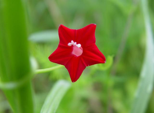 做人要懂得：不善待自己，必然會落得如此下場