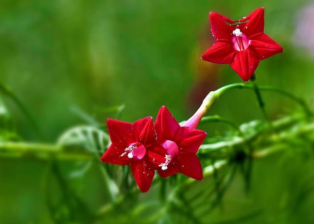 做人要懂得：不善待自己，必然會落得如此下場
