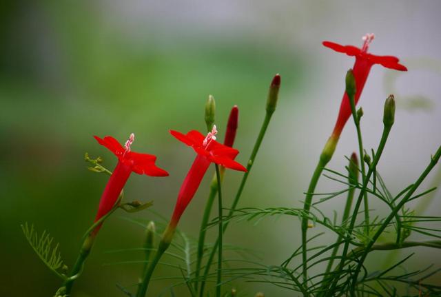 做人要懂得：不善待自己，必然會落得如此下場