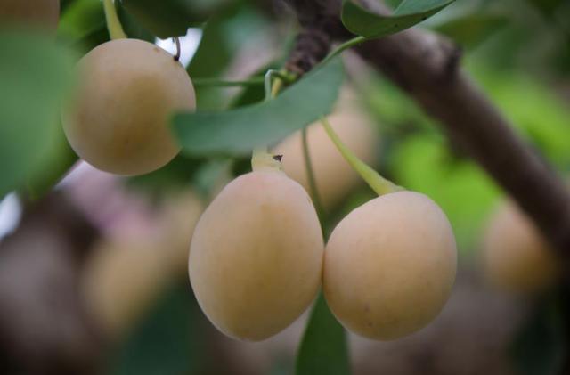 有這四種行為的人,可能要敗家了,懸崖勒馬吧