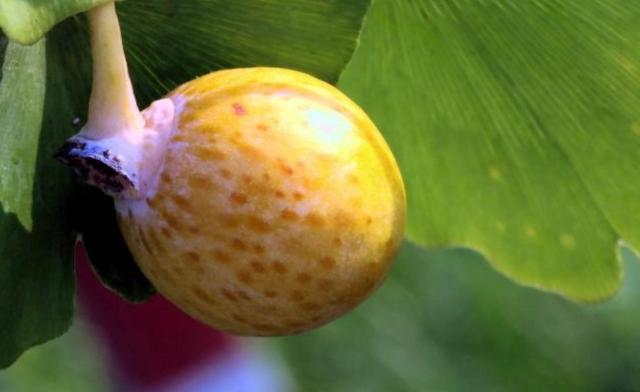 有這四種行為的人,可能要敗家了,懸崖勒馬吧