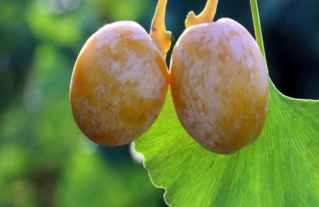 有這四種行為的人，可能要敗家了，懸崖勒馬吧