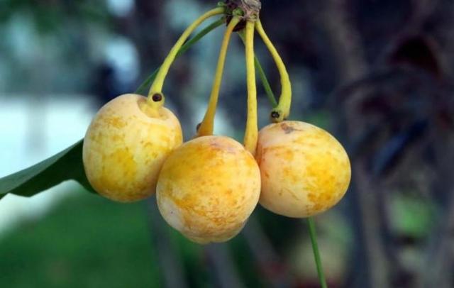 有這四種行為的人，可能要敗家了，懸崖勒馬吧