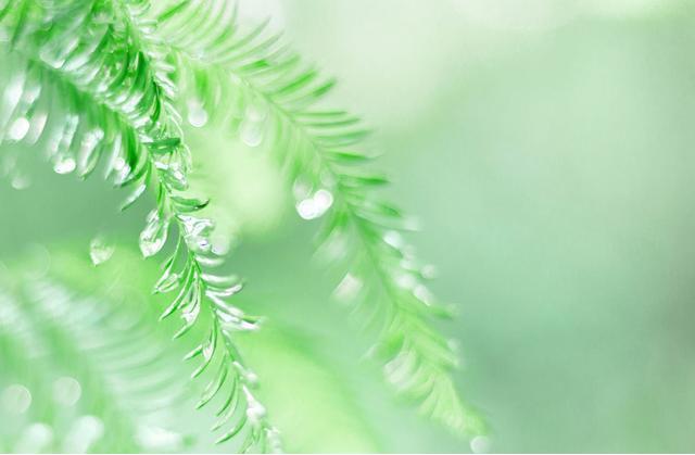 星座：找對象最挑剔的四個星座，有你嗎？