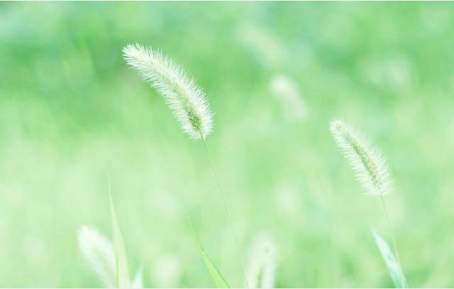 星座：找對象最挑剔的四個星座，有你嗎？