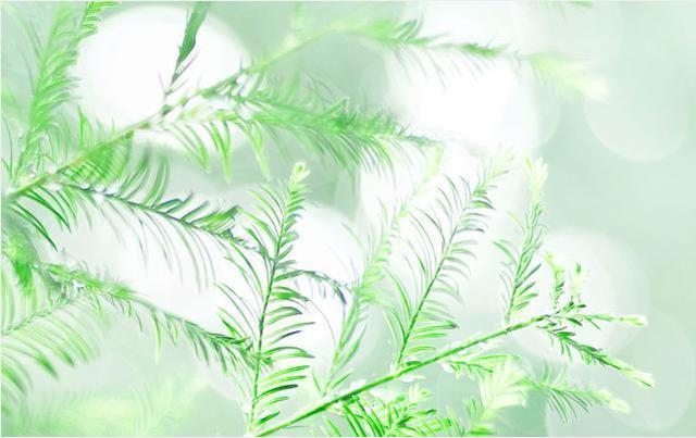 星座：找對象最挑剔的四個星座，有你嗎？