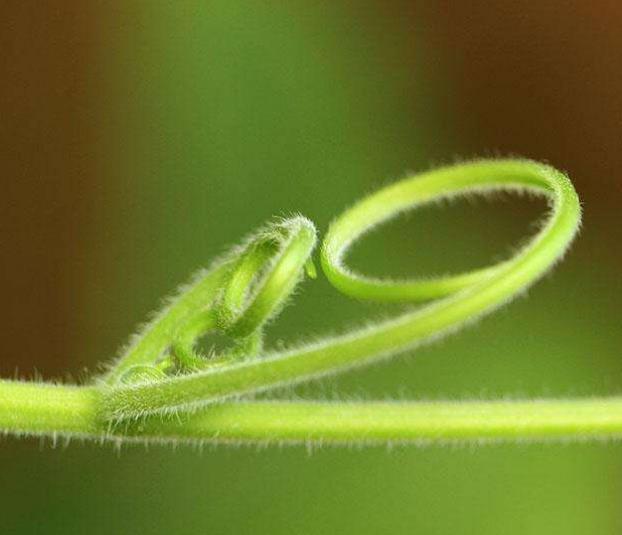 真正有本事的人，這三個圈子卻很小，真奇怪