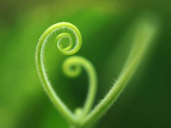 真正有本事的人，這三個圈子卻很小，真奇怪