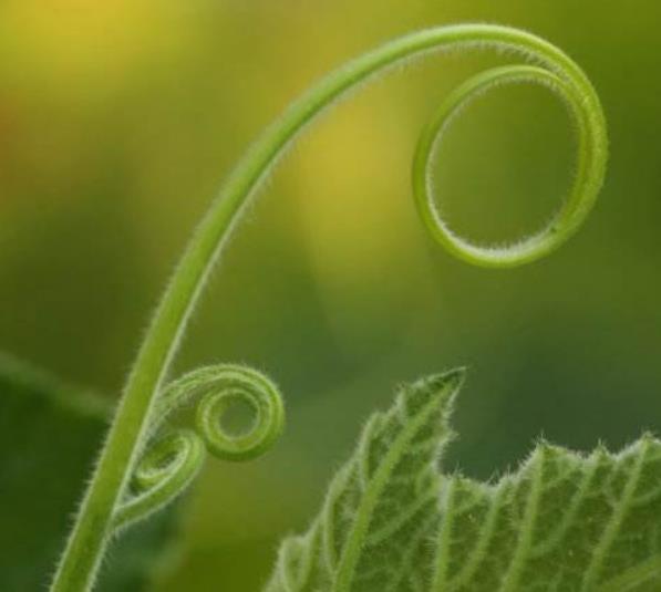 真正有本事的人，這三個圈子卻很小，真奇怪