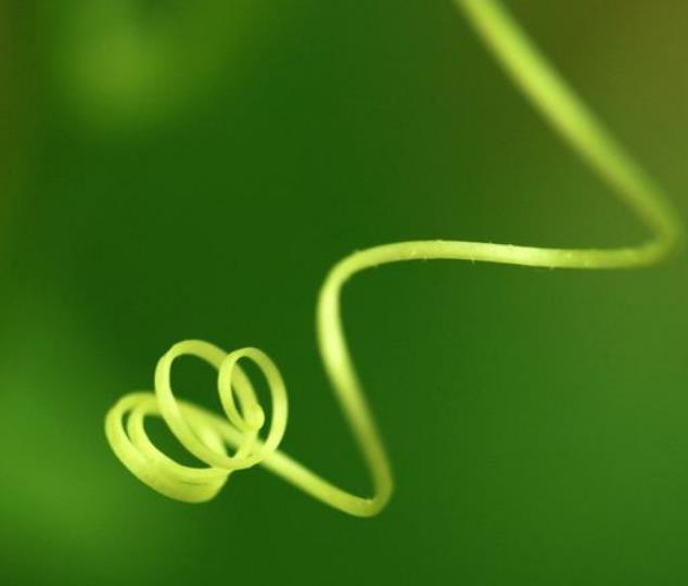 真正有本事的人，這三個圈子卻很小，真奇怪