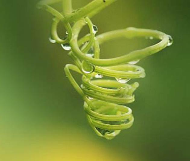 真正有本事的人，這三個圈子卻很小，真奇怪