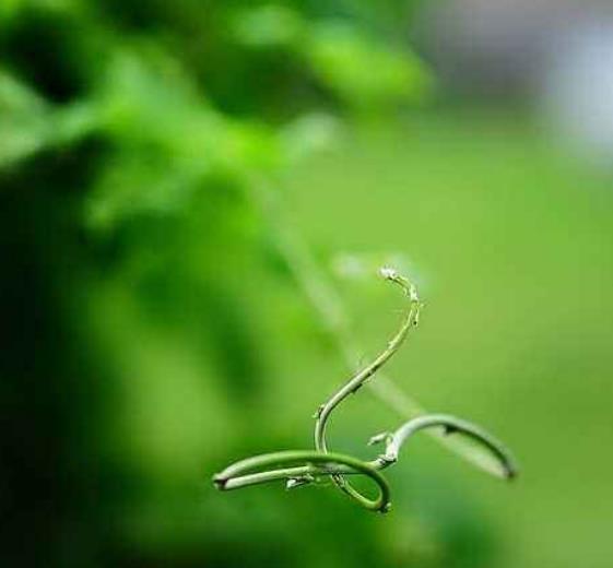 真正有本事的人，這三個圈子卻很小，真奇怪