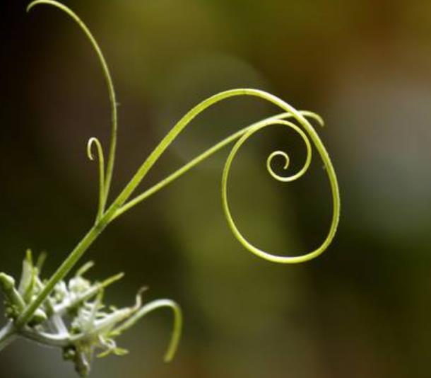 真正有本事的人，這三個圈子卻很小，真奇怪