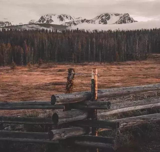 教養，是一個人最大的財富！