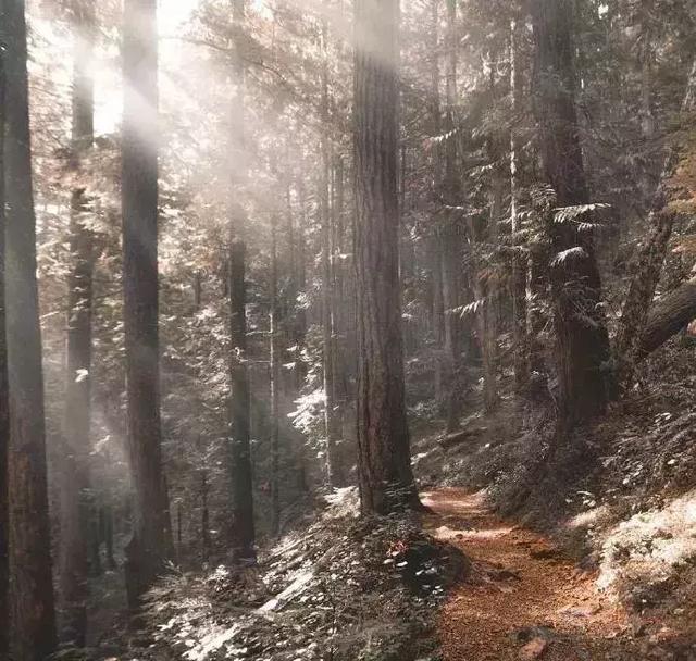 教養，是一個人最大的財富！