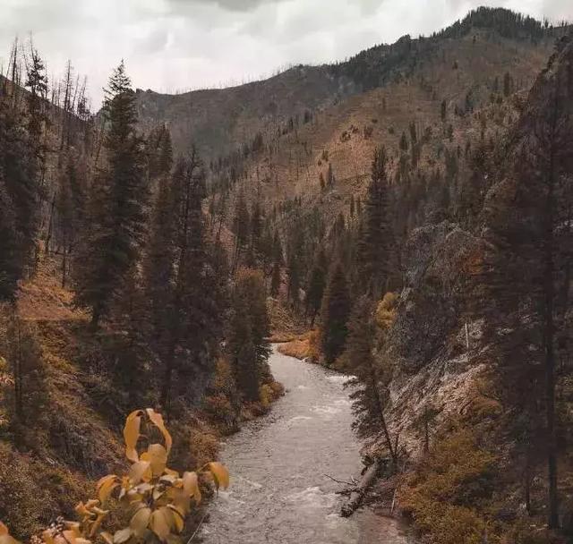 教養，是一個人最大的財富！