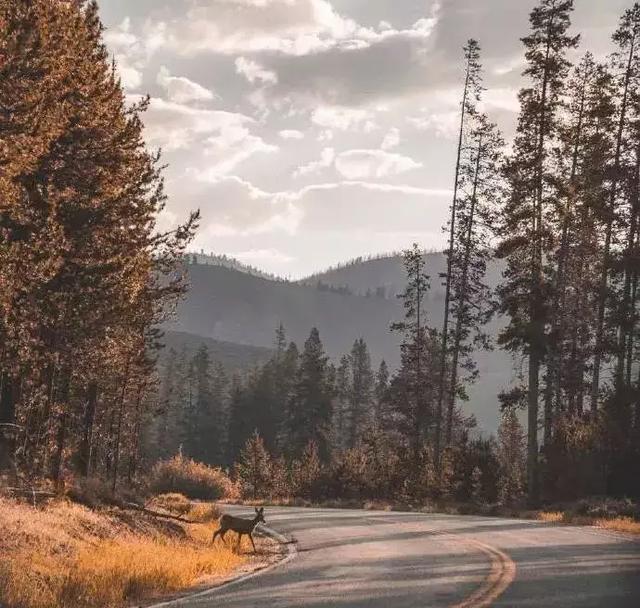 教養，是一個人最大的財富！