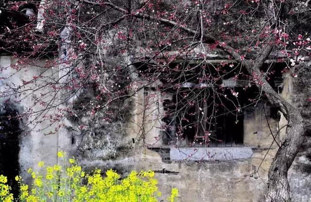 最美中國老建築，再不看就沒了！