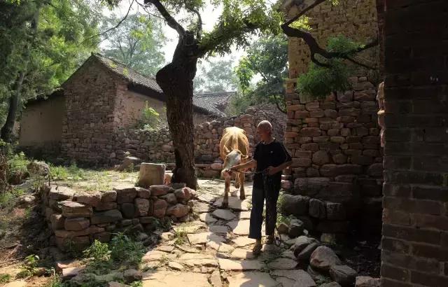 最美中國老建築，再不看就沒了！