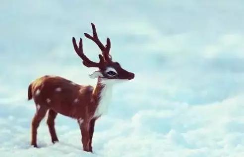 半生已過，送給自己的話！