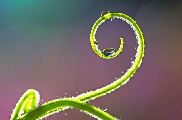 懂得斷捨離，生活更美麗（哲理美文）