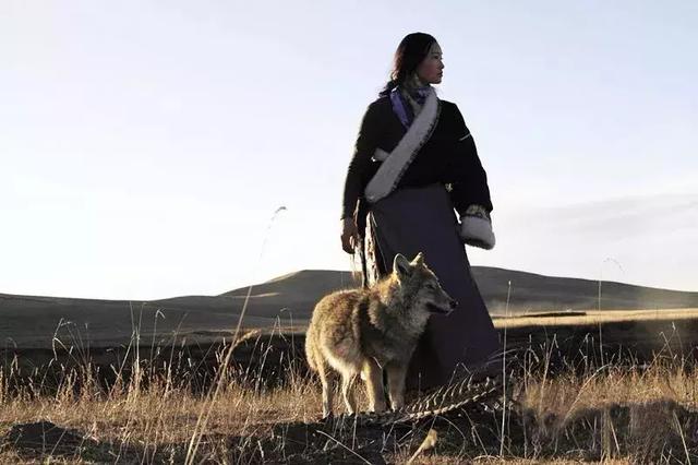 人情薄如紙，人心狠如狼！ 句句現實！