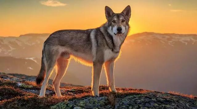 人情薄如紙，人心狠如狼！ 句句現實！