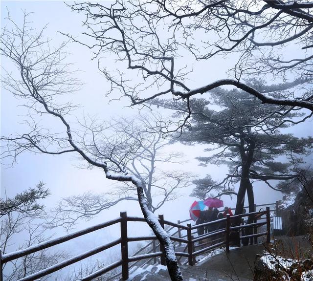 老子的經典名言,每一句都值得收藏!