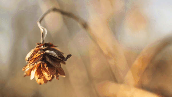 人生就是一個過程，你爭來爭去，爭個什麼？