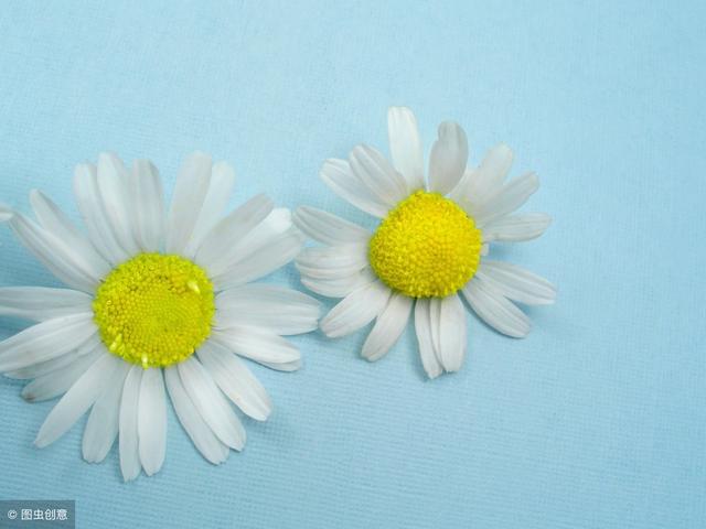 寧可平凡的低調，也不孤獨的驕傲