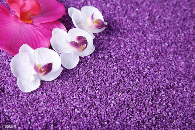 寧可平凡的低調，也不孤獨的驕傲