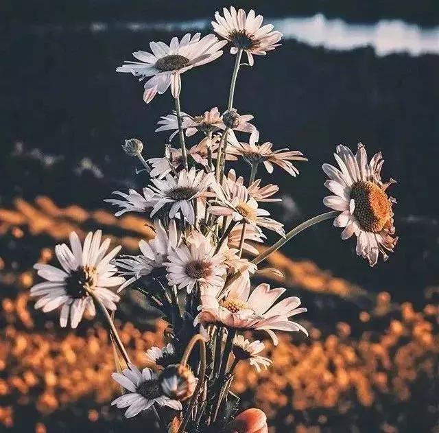 2019，就做這樣的人！