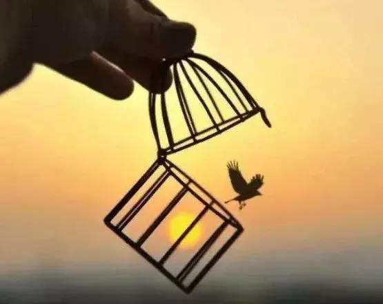 成功，離不開認真！